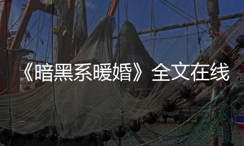 《暗黑系暖婚》全文在线阅读